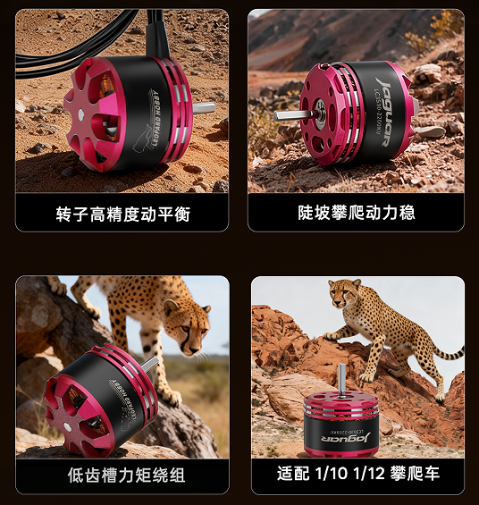 中文.png